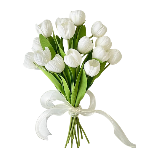 WhatsApp Image 2025-09-