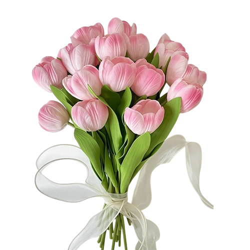 WhatsApp Image 2025-09-09 at 4.34.45