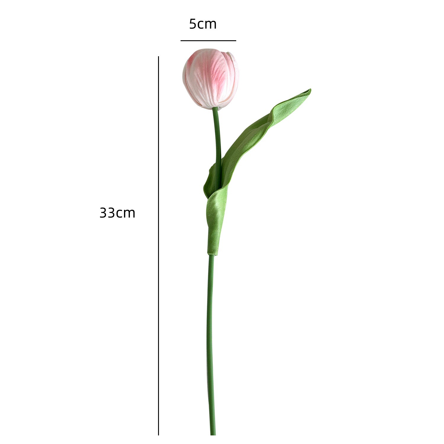 WhatsApp Image 2025-09-09 at 4.34.46 PM (1)