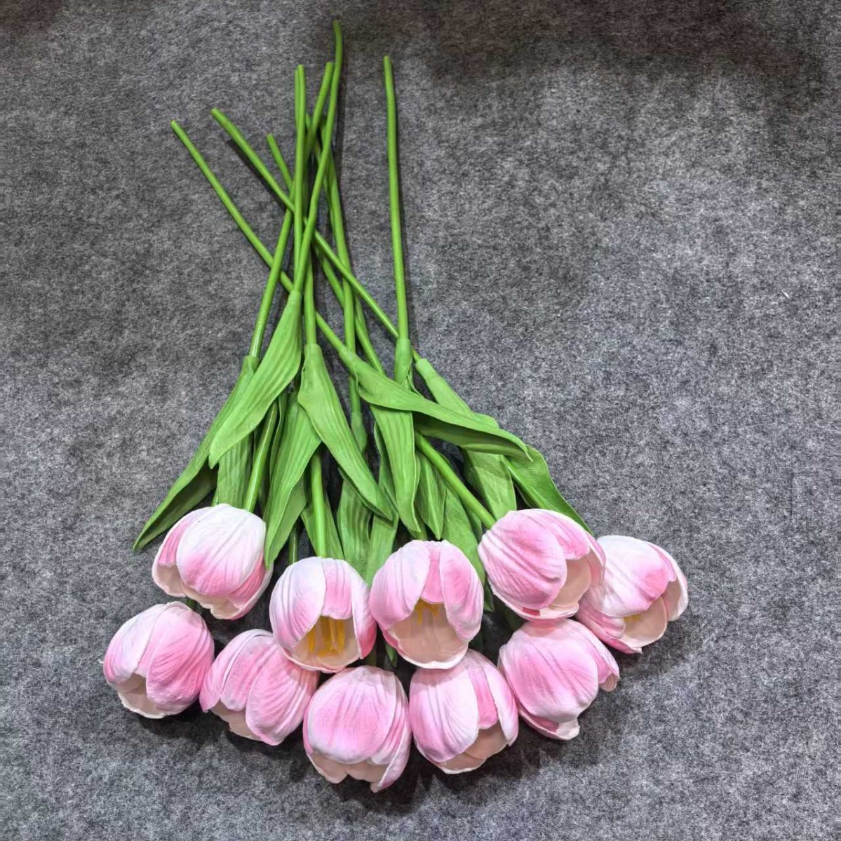 WhatsApp Image 2025-09-09 at 4.34.46 PM