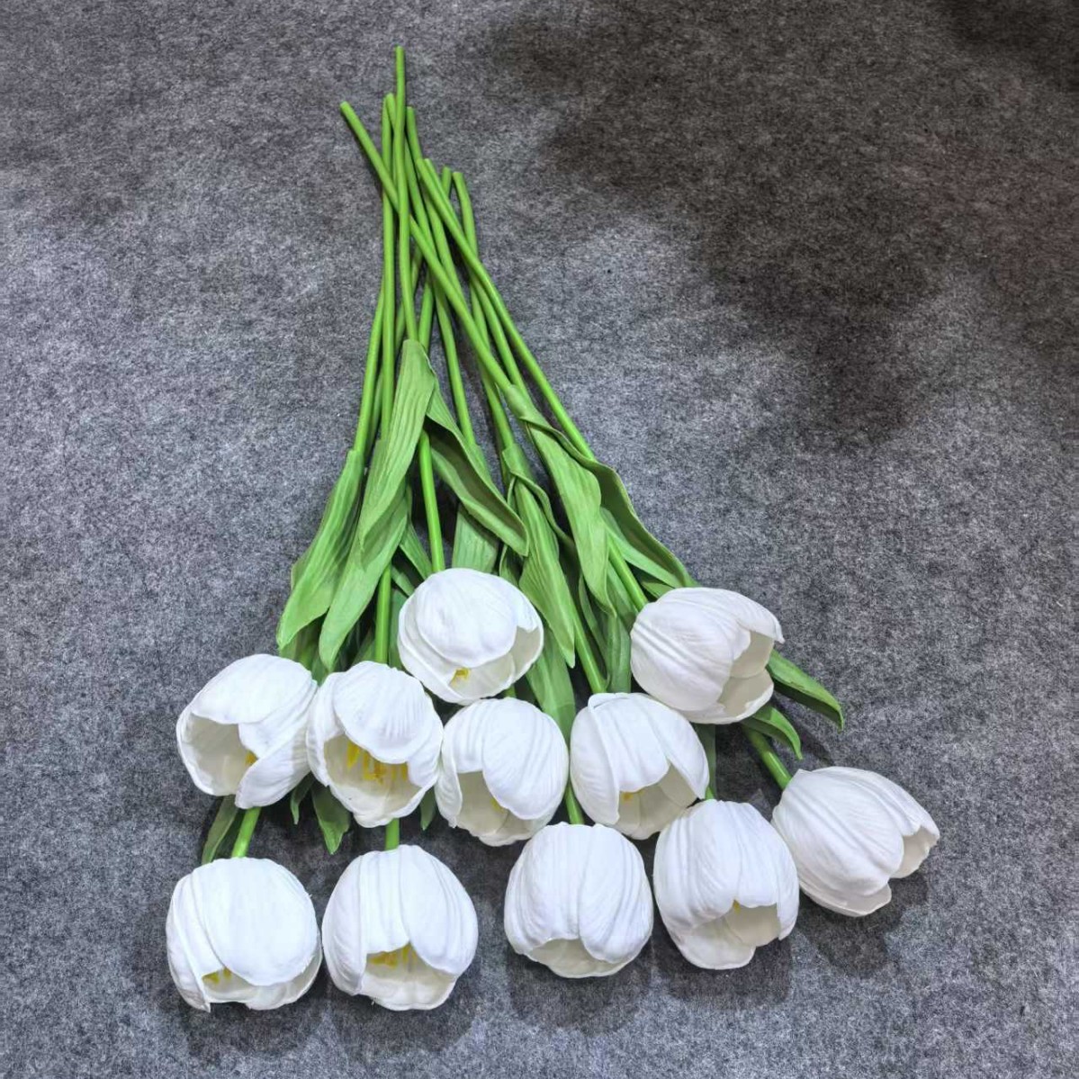 WhatsApp Image 2025-09-09 at 4.34.47 PM